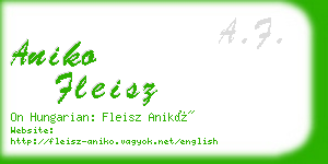 aniko fleisz business card